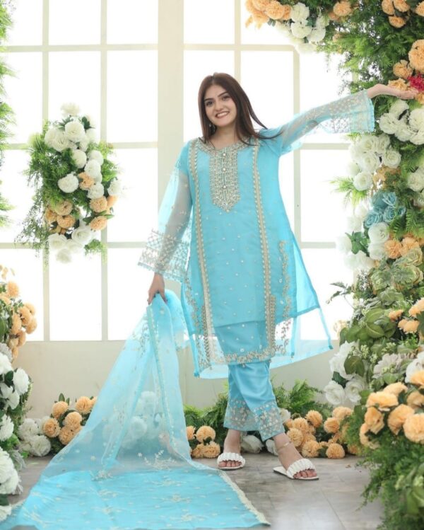 TEHZEEB FANCY 3PCS