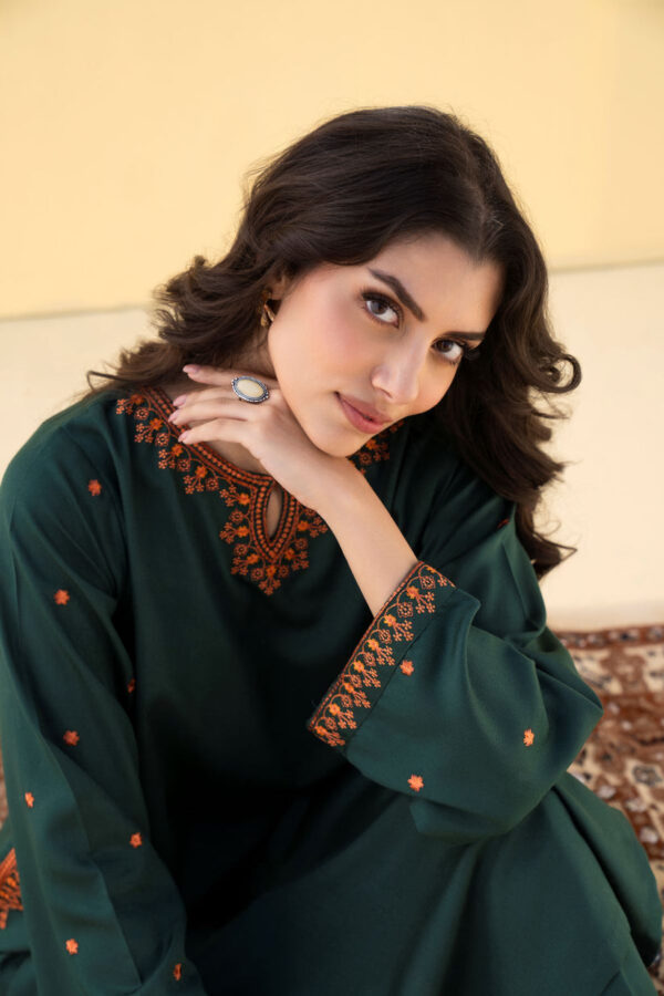 Decent Green Embroidered 2-Piece